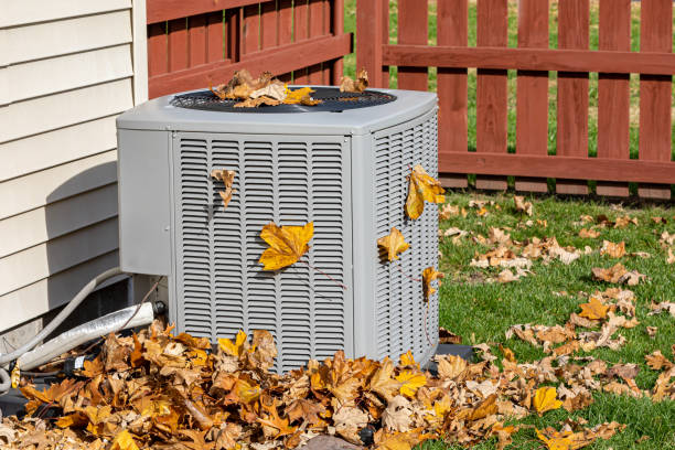 Best HVAC Installation Services  in Braska City, NE
